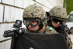 ���������� ������������ ��������, �� �������� ���