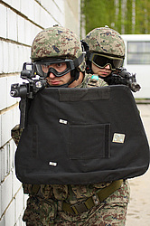 ���������� ������������ ��������, �� �������� ���