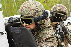 ���������� ������������ ��������, �� �������� ���