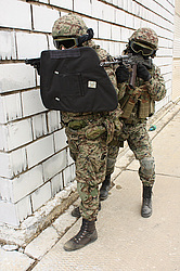 ���������� ������������ ��������, �� �������� ���