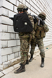 ���������� ������������ ��������, �� �������� ���