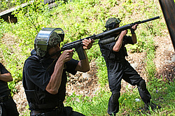 ���������� ������������ ��������, �������� �� ��������