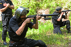 ���������� ������������ ��������, �������� �� ��������