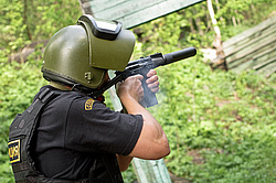 ���������� ������������ ��������, �������� �� ��������