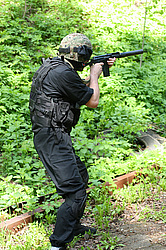 ���������� ������������ ��������, �������� �� ��������