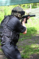 ���������� ������������ ��������, �������� �� ��������