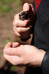 ���������� ������������ ��������, �������� �� ��������