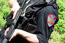 ���������� ������������ ��������, �������� �� ��������