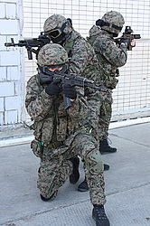 ���������� ������������ ��������, �������� �� ��������