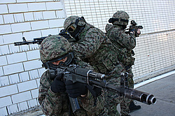 ���������� ������������ ��������, �������� �� ��������