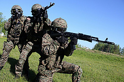 ���������� ������������ ��������, �������� �� ��������