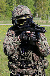 ���������� ������������ ��������, �������� �� ��������