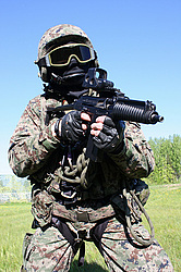 ���������� ������������ ��������, �������� �� ��������