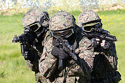 ���������� ������������ ��������, �������� �� ��������