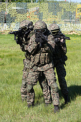 ���������� ������������ ��������, �������� �� ��������