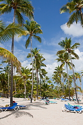 ������ �� �������� �����, ������������� �����, ��������� �������, �����, ������������� ����������, �����-����