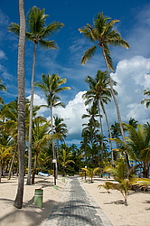 ������ �� �������� �����, ��������� �������������� ������, ��������� �������, �����, ������������� ����������, �����-����