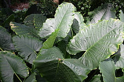 ������� � ����������� � ������������ ����. ��������� �������, �����, ������������� ����������, �����-����. 