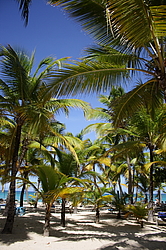 ������ �� �������� �����, ��������� �������������� ������, ��������� �������, �����, ������������� ����������, �����-����