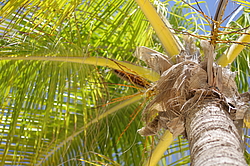 ������ �� �������� �����, ��������� �������������� ������, ��������� �������, �����, ������������� ����������, �����-����