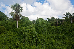 ������������� ����, ���������� �����. ��������� �������, �����, ������������� ����������, �����-����