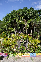 ������� � ������������ ���. ��������� �������, �����, ������������� ����������, �����-����. 