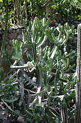 ������� � ����������� � ������������ ����. ��������� �������, �����, ������������� ����������, �����-����. 