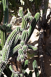 ���������� ������� � ����������� � ������������ ����. ��������� �������, �����, ������������� ����������, �����-����. 