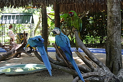 ������� � ������������ ���. ��������� �������, �����, ������������� ����������, �����-����. 