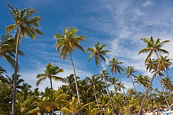 ������ �� �������� �����, ������������� �����, ��������� �������, �����, ������������� ����������, �����-����