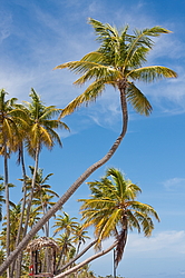 ������ �� �������� �����, ��������� �������������� ������, ��������� �������, �����, ������������� ����������, �����-����