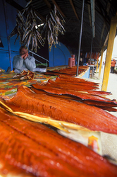 ������ �����, �������