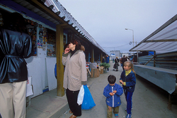 ������ �����, �������