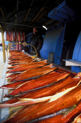 ������ �����, �������