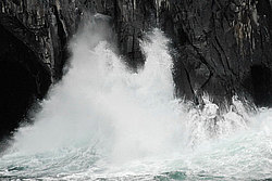 ��������, ������� ���������, �����, �����, ������ ������, Gunnet