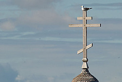 ����, ����� ��������, ������ ���������