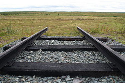 ����, ����� ��������, �������