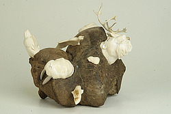 ������� �������� ������, ��������, �����-�������� ��