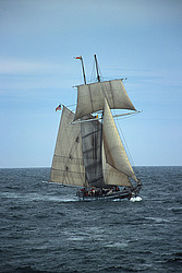 Californian Square - topsail schooner, USA