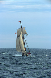 Californian Square - topsail schooner, USA