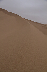 ��������, �������� ���, ��������� ������������ ���� ������������