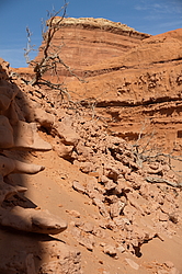 ��������, ������ ������-���, ����