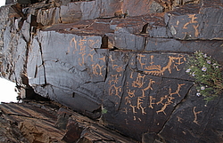 ��������, ���������� �������