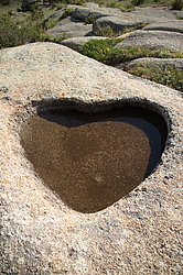 ��������, �������� ������ �������� (�����-����)