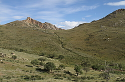 ��������, ���������� ��������� �����-����