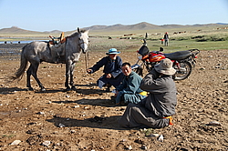 ��������, ��������