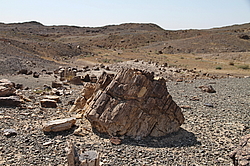 ��������, ����������� ������