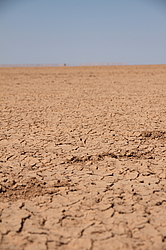 ��������, ������ �������