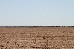 ��������, ������ ����