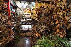 ��������, ��������� (���-��������-��-����-��-�����-��-������)